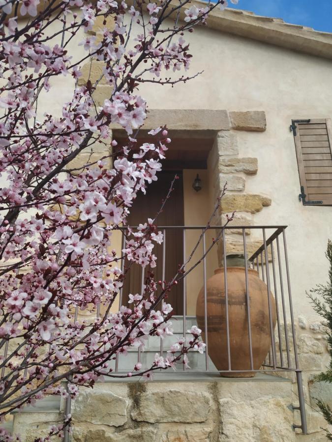 Country house Maset Del Riu Valderrobres