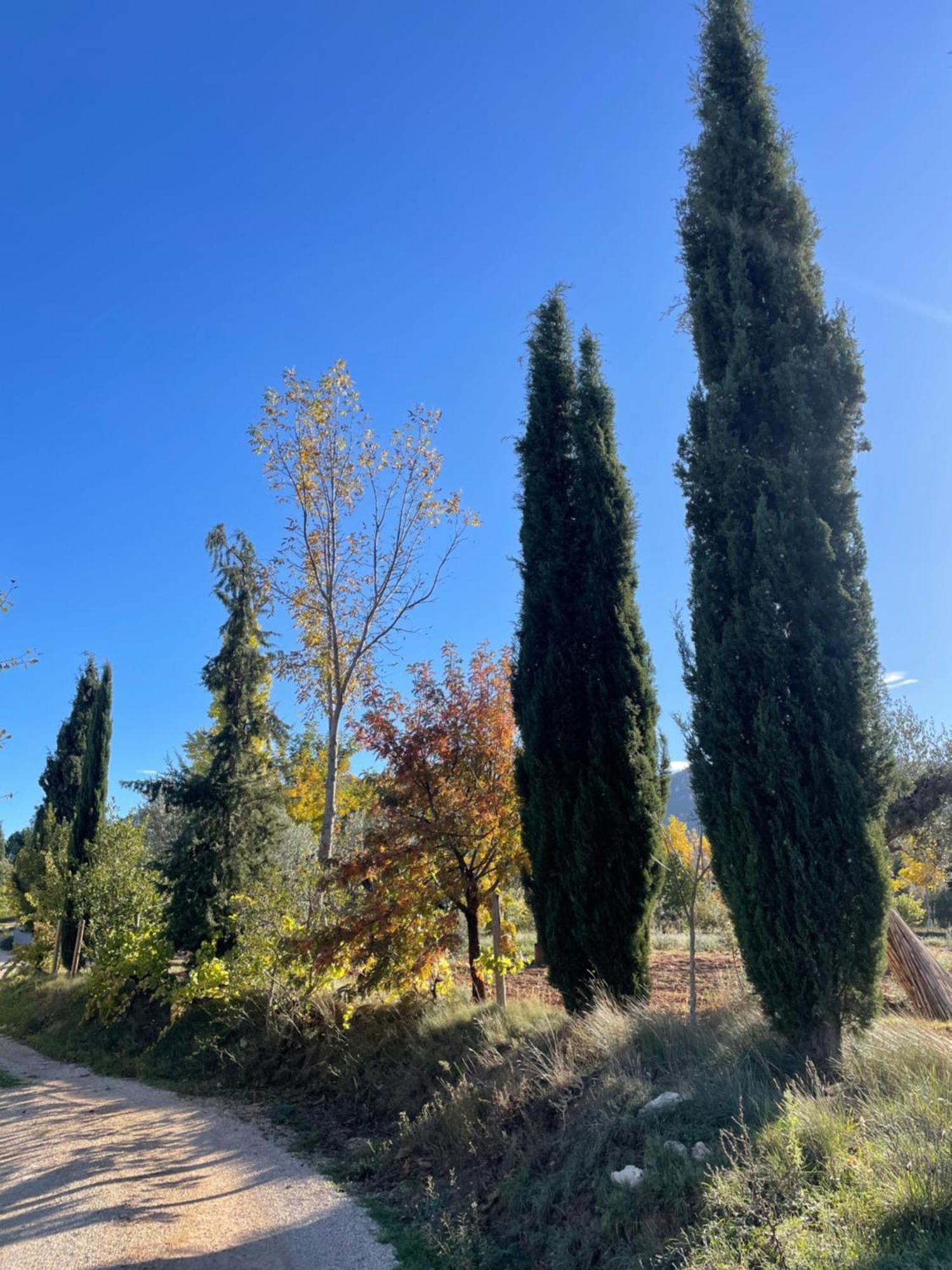 Country house Maset Del Riu
