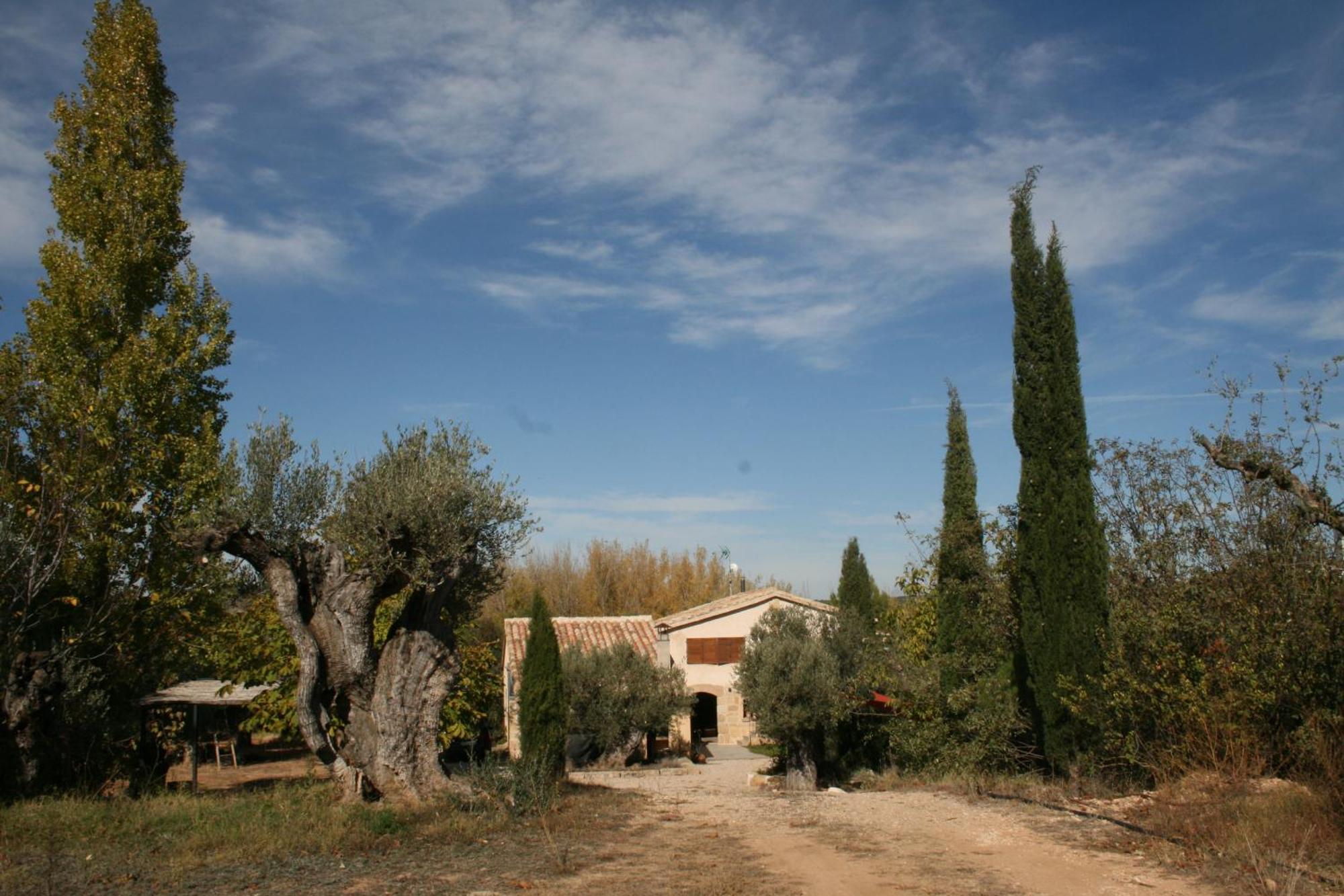 Maset Del Riu Valderrobres